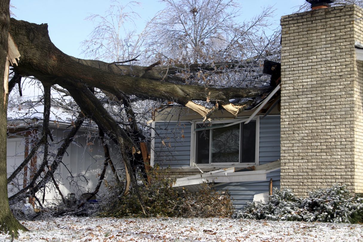 Roof damage caused by fallen tree.